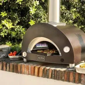 alfa one pizza oven